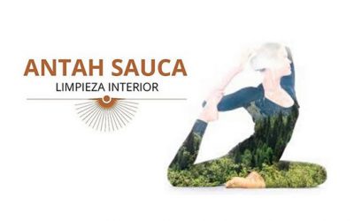 ANTAH SAUCA · LIMPIEZA INTERIOR