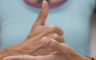 NUEVOS HORARIOS DE NOVIEMBRE