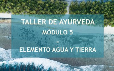 MÓDULO 5 – 11 DE DICIEMBRE – RESERVA TU PLAZA (PRESENCIAL & ONLINE)