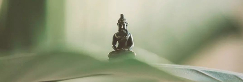 bhakti-clases-yoga-tenerife-meditacion-salud-amayoga