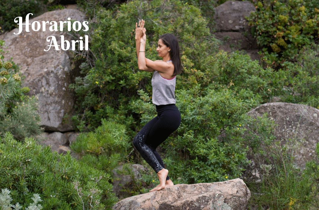 Horarios de las clases de Yoga en Noviembre en Santa Cruz de Tenerife