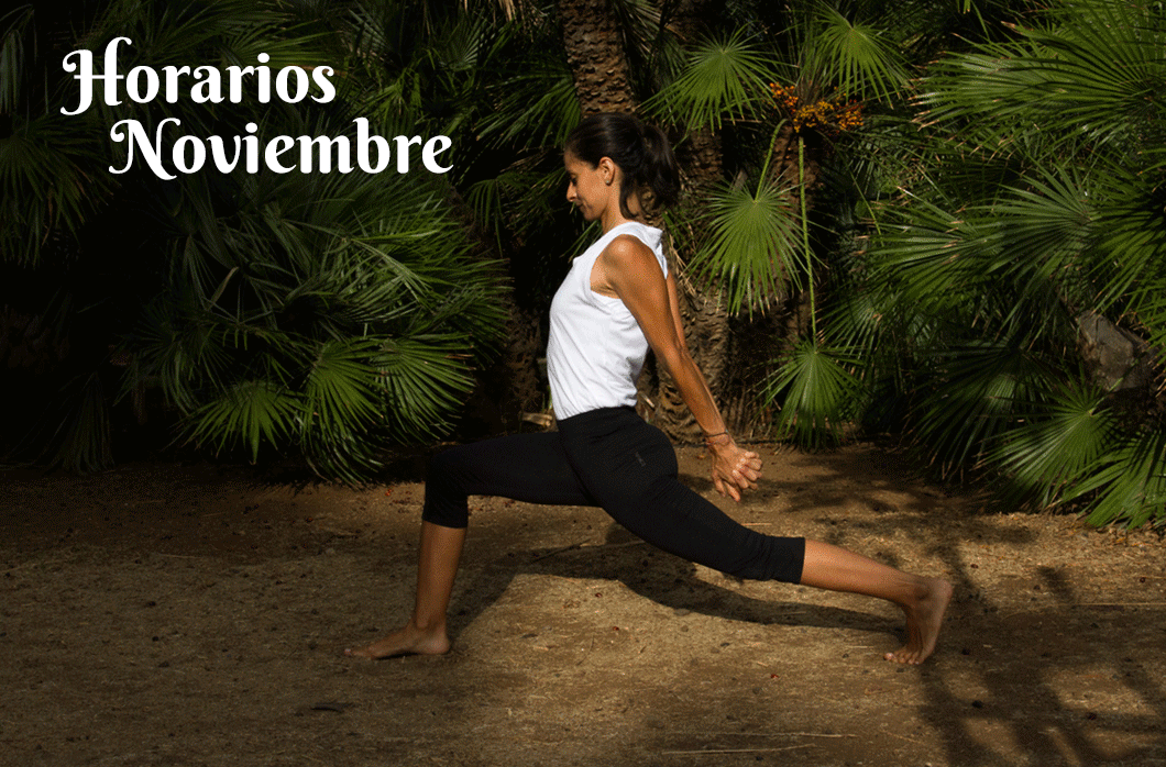 Horarios de las clases de Yoga en Noviembre en Santa Cruz de Tenerife